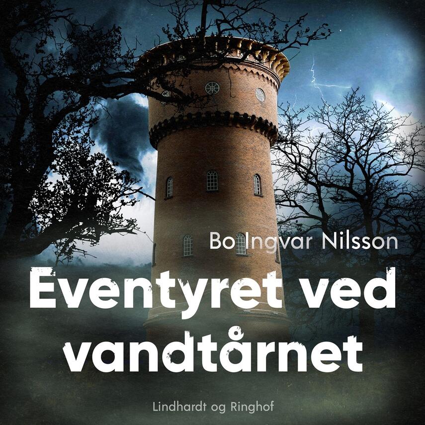 Bo Ingvar Nilsson: Eventyret ved vandtårnet