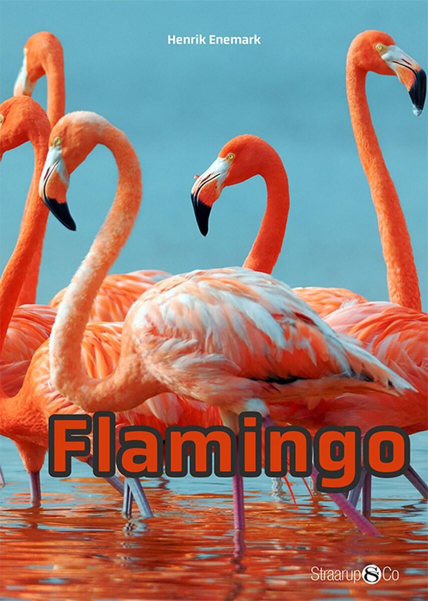 Henrik Enemark: Flamingo