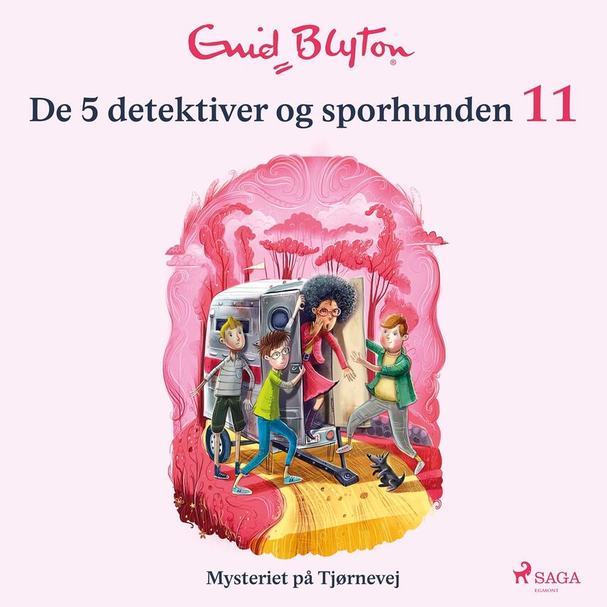 Enid Blyton: Mysteriet på Tjørnevej