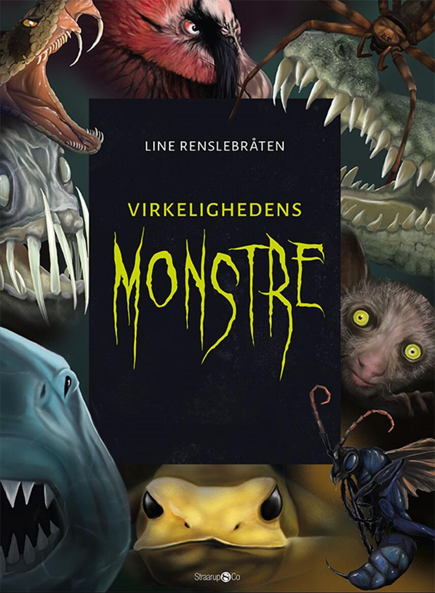 Line Renslebråten: Virkelighedens monstre