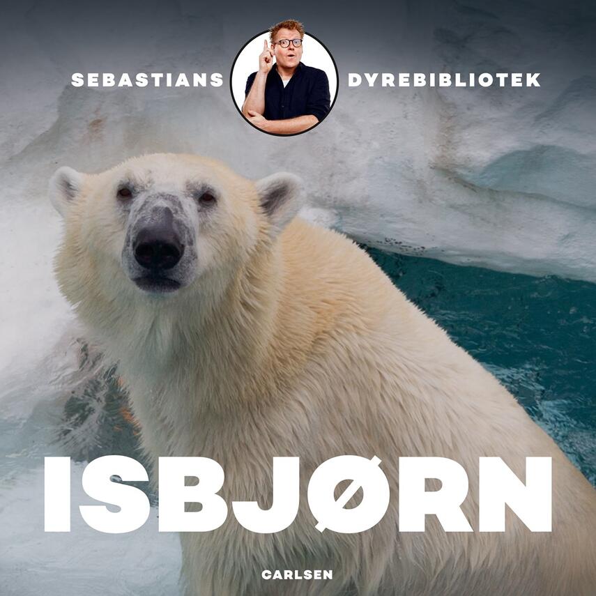 Sebastian Klein: Isbjørn