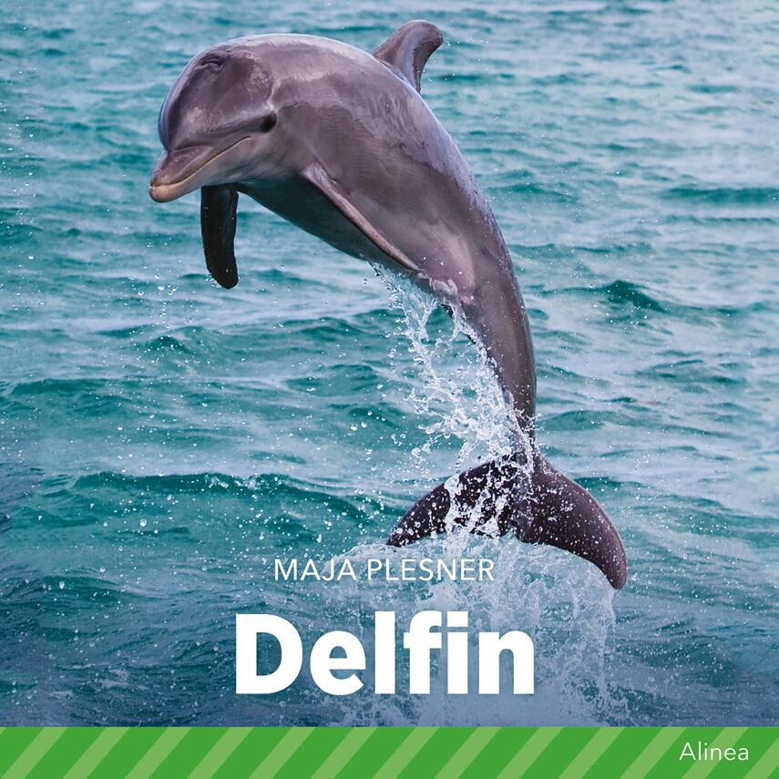 Maja Plesner: Delfin