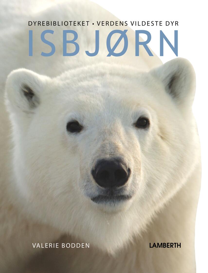 Valerie Bodden: Isbjørn
