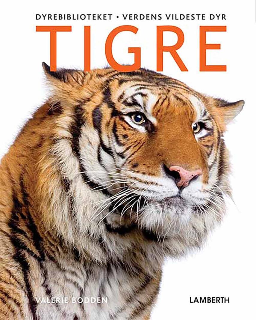 Valerie Bodden: Tigre