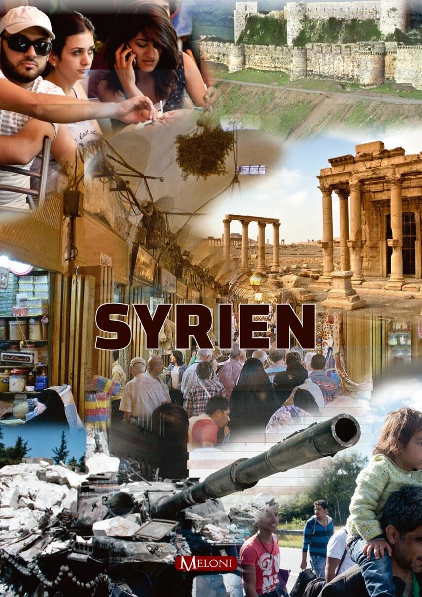 Stine Collin Nielsen: Syrien