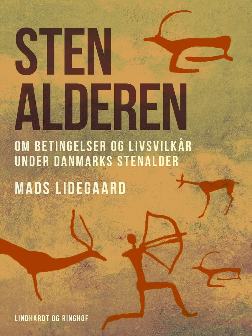 Mads Lidegaard: Stenalderen : om betingelser og livsvilkår under Danmarks stenalder
