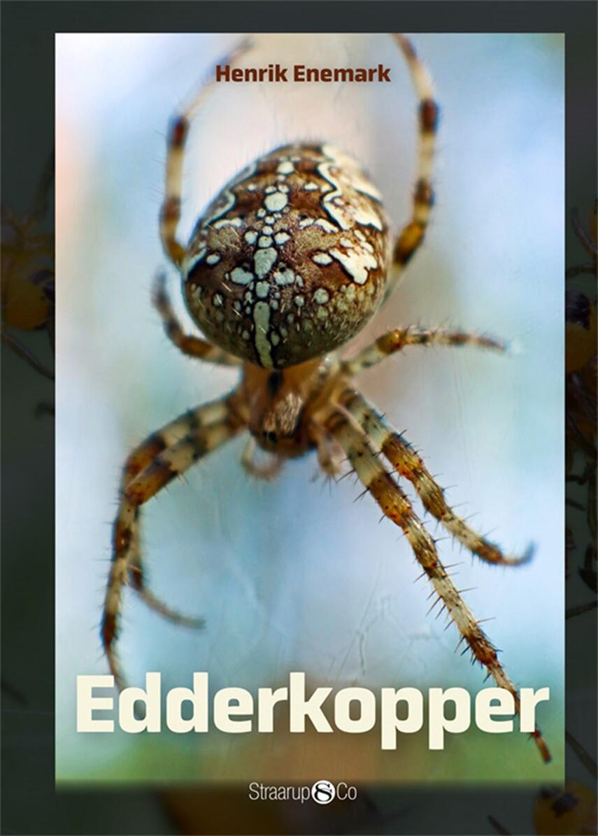 Henrik Enemark: Edderkopper