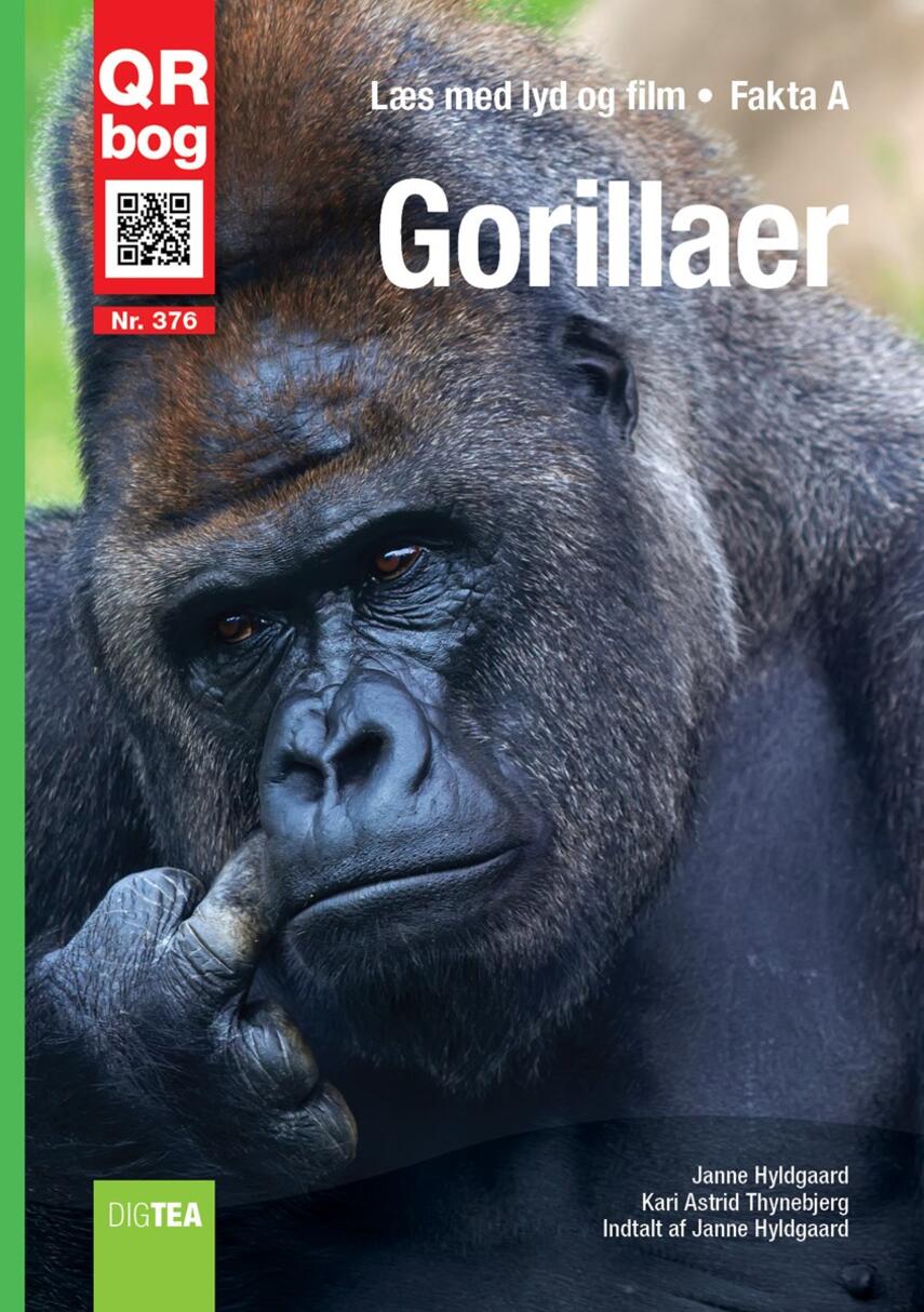 : Gorillaer