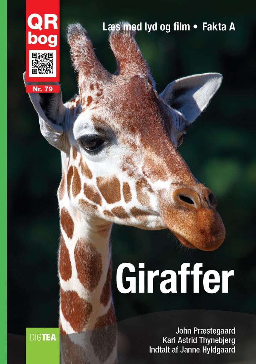 : Giraffer