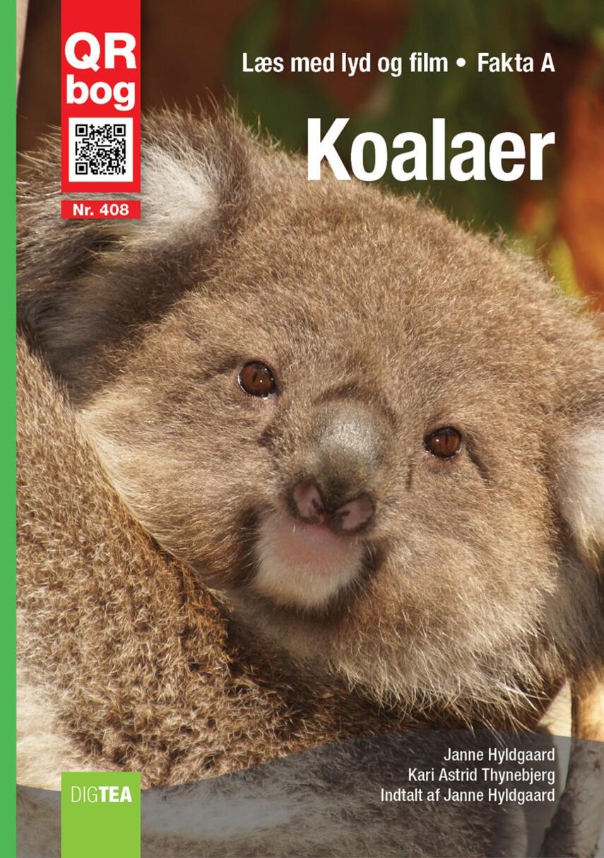 : Koalaer