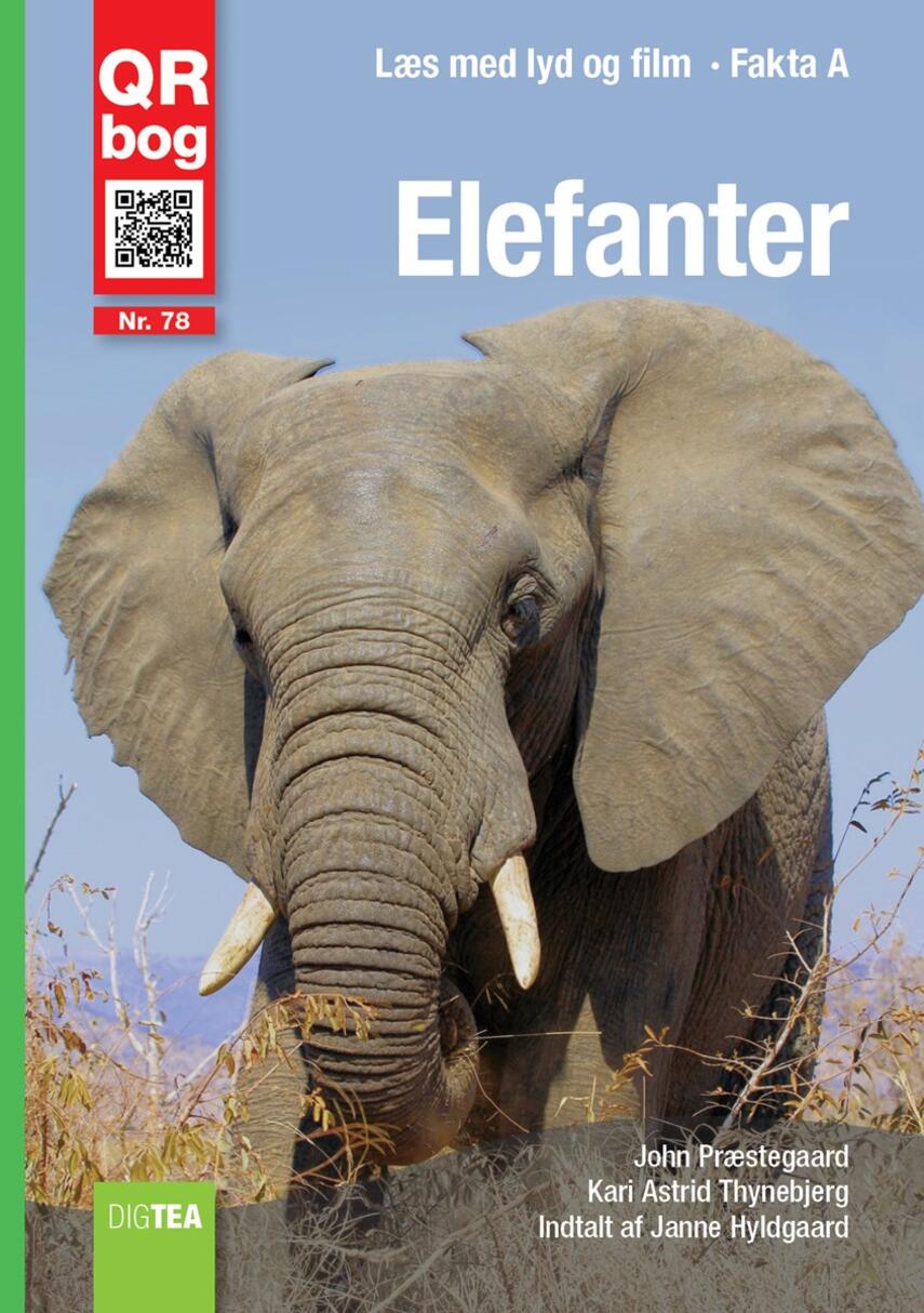 : Elefanter