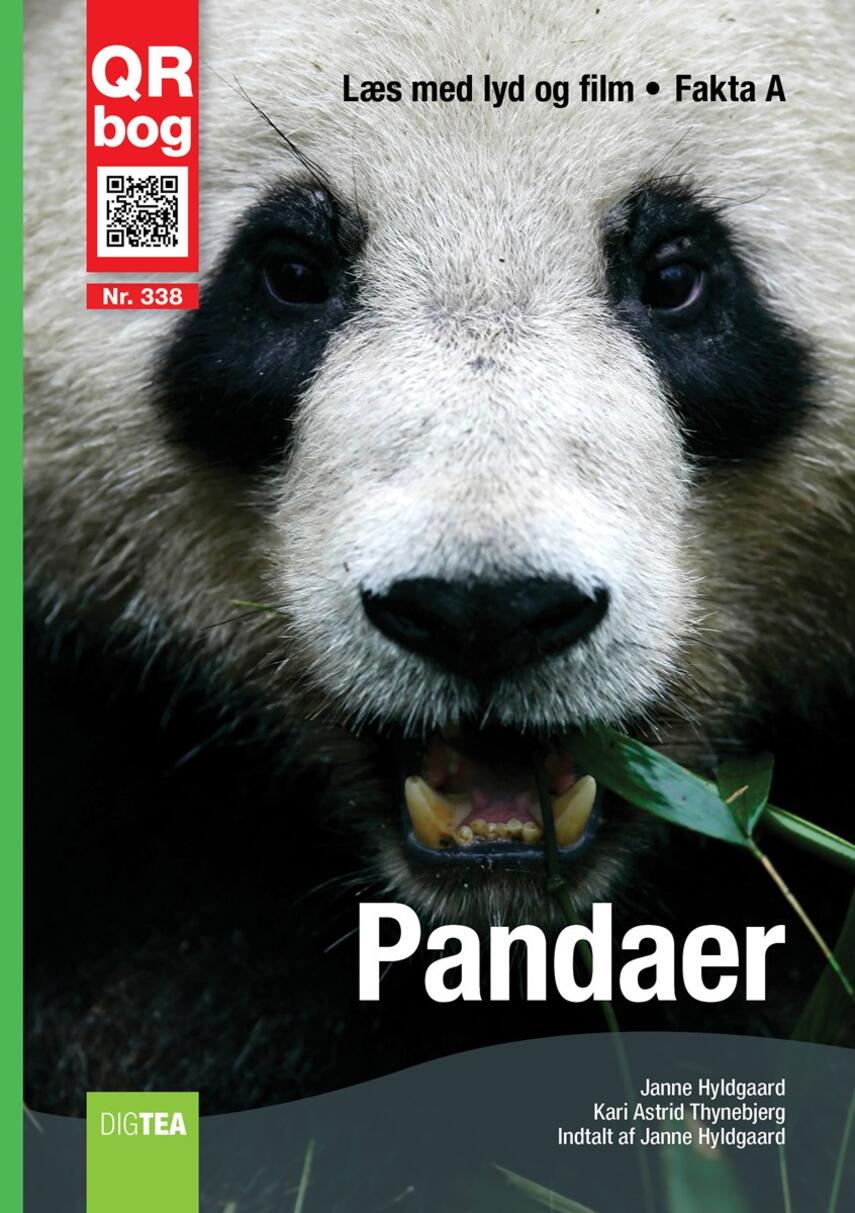 : Pandaer