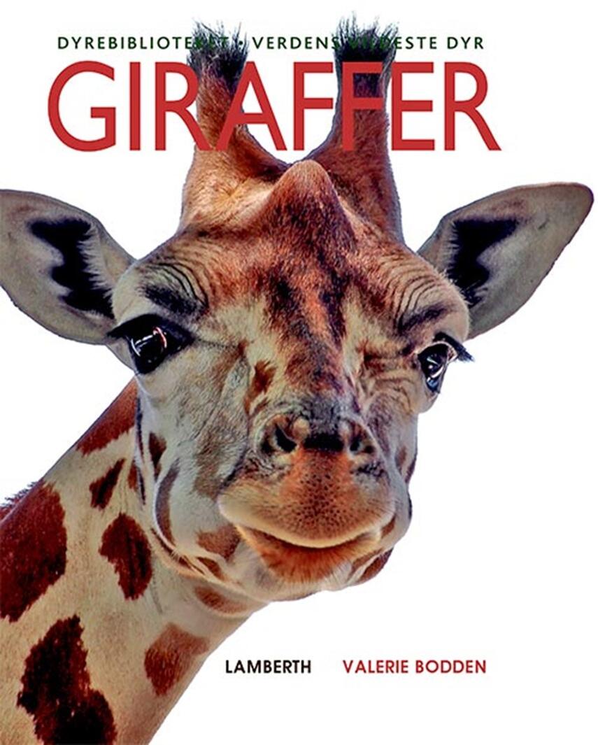 Valerie Bodden: Giraffer