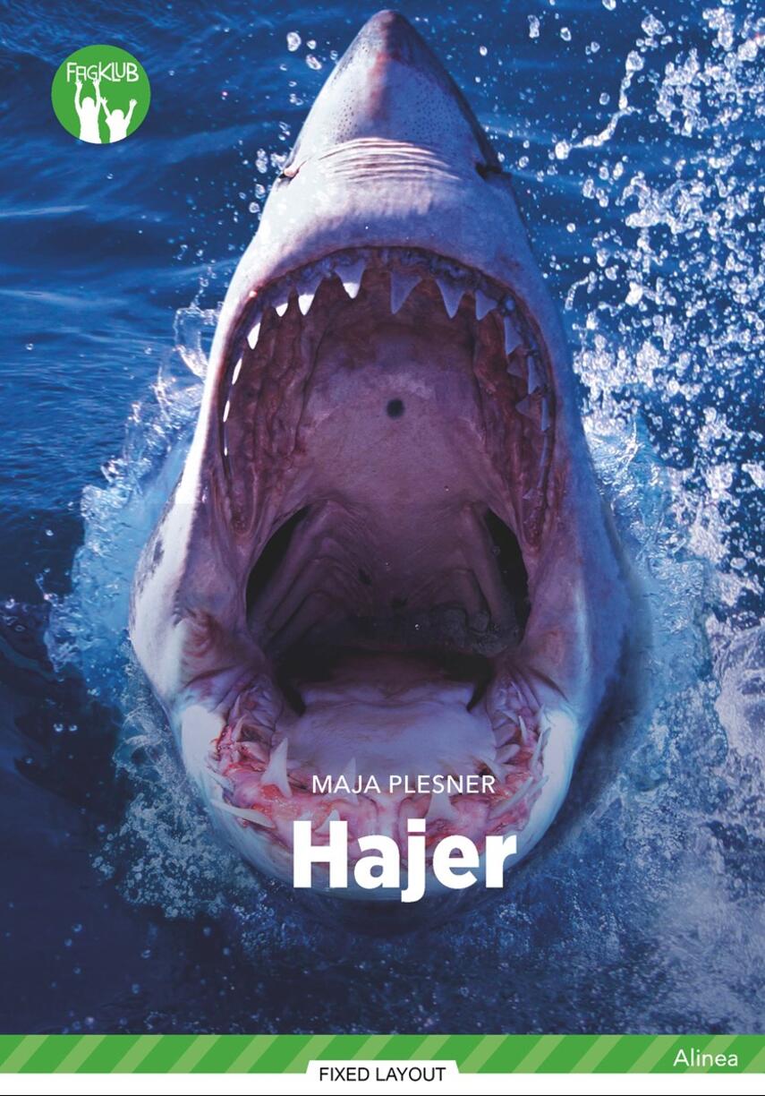 Maja Plesner: Hajer
