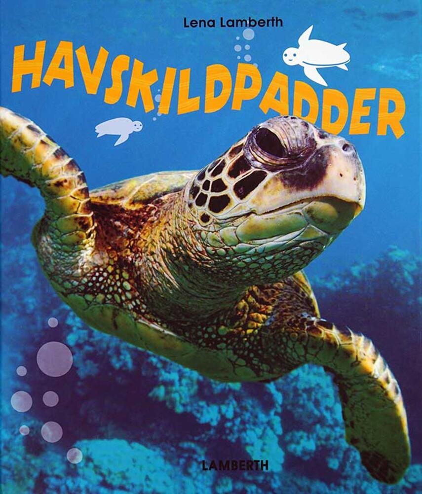 Lena Lamberth: Havskildpadder