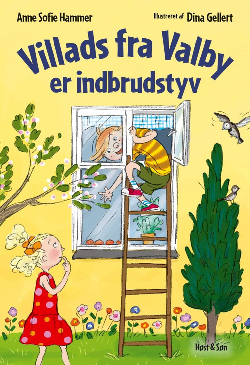 Anne Sofie Hammer (f. 1972-02-05): Villads fra Valby er indbrudstyv