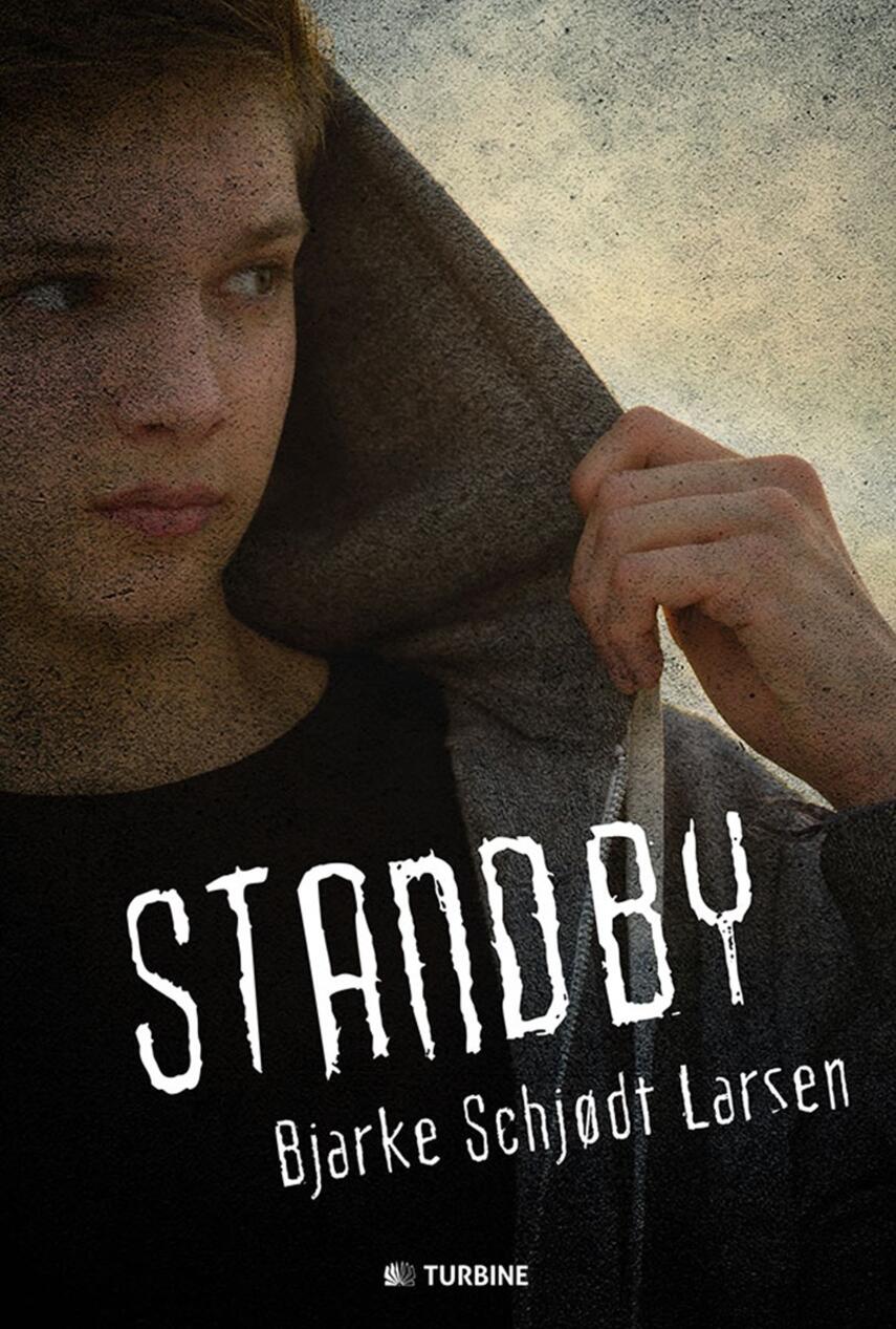 Bjarke Schjødt Larsen: Standby