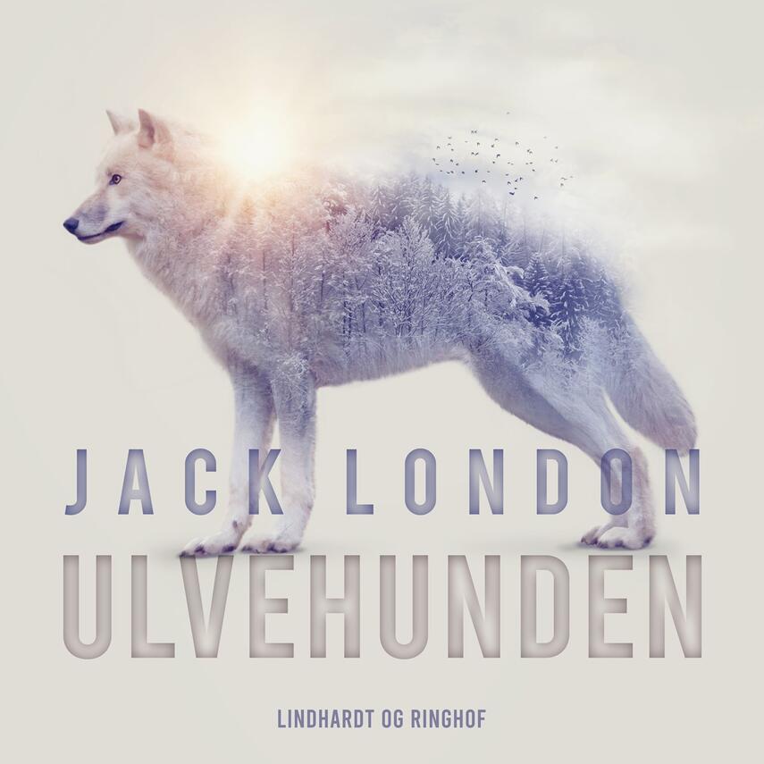 Jack London: Ulvehunden (Ved Grete Juel Jørgensen)