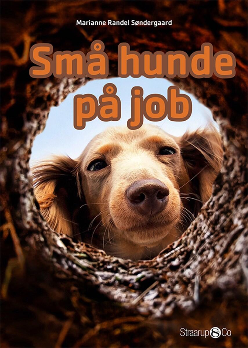 Marianne Randel Søndergaard: Små hunde på job