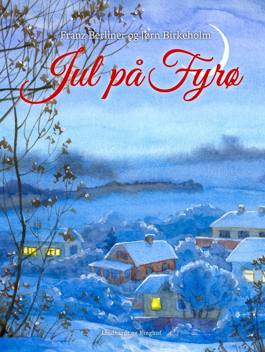 Jørn Birkeholm: Jul på Fyrø : en julekalender