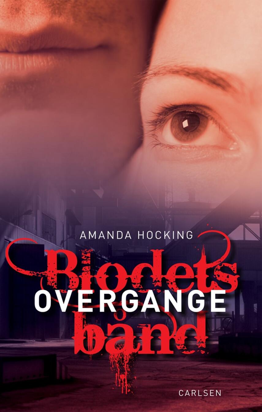 Amanda Hocking: Overgange