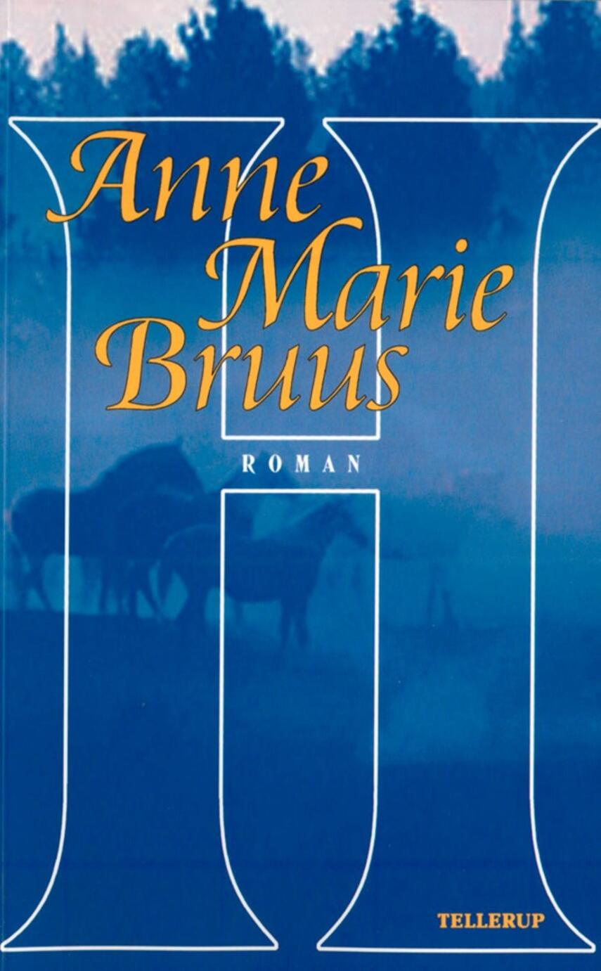Anne Marie Bruus: H : roman