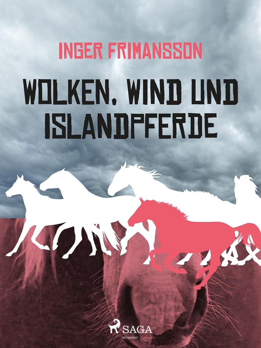 Inger Frimansson: Wolken, Wind und Islandpferde