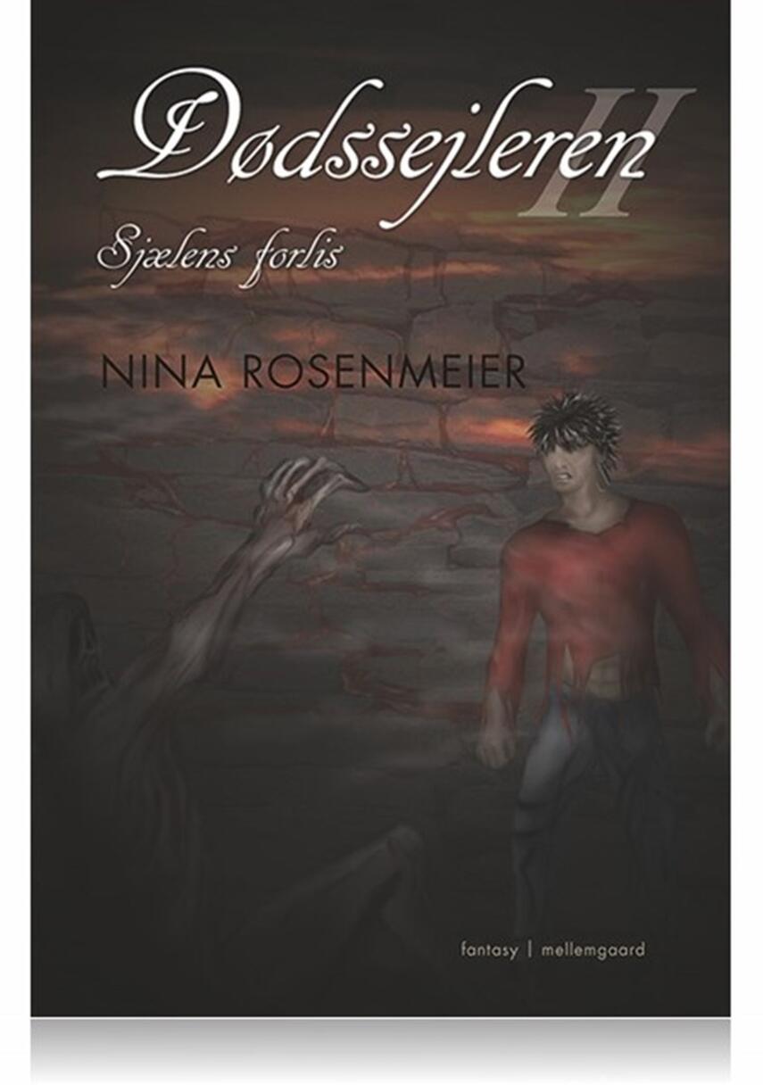 Nina Rosenmeier (f. 1968): Sjælens forlis