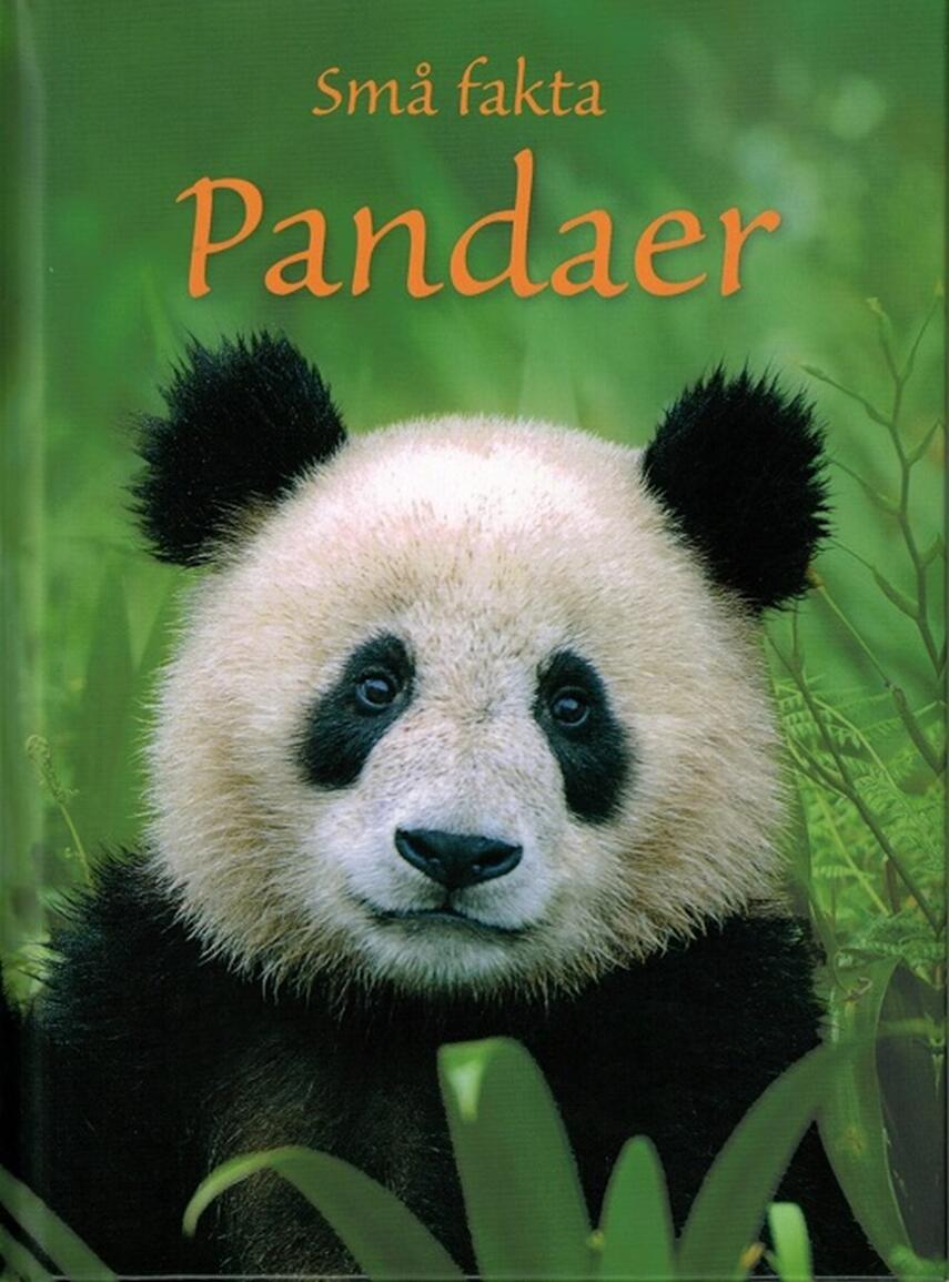 James Maclaine: Pandaer