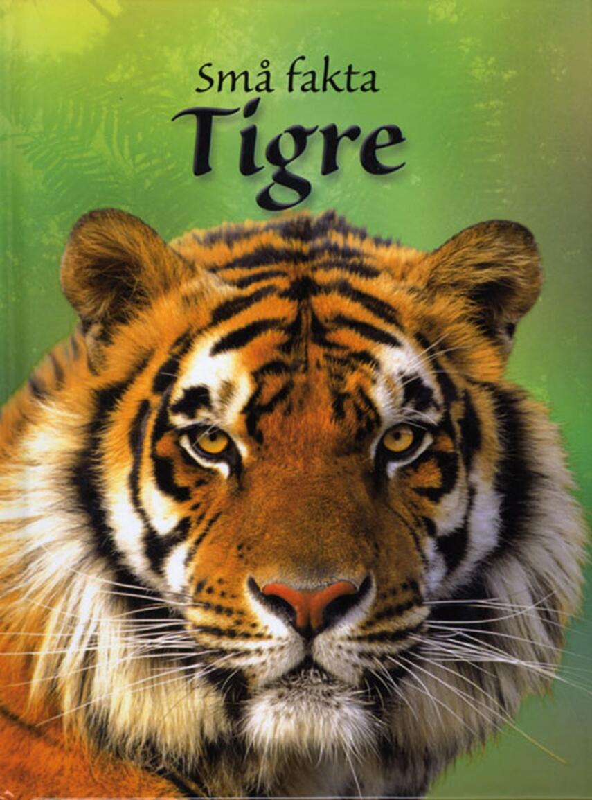 James Maclaine: Tigre