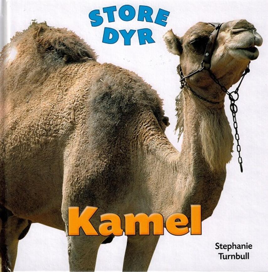 Stephanie Turnbull: Kamel