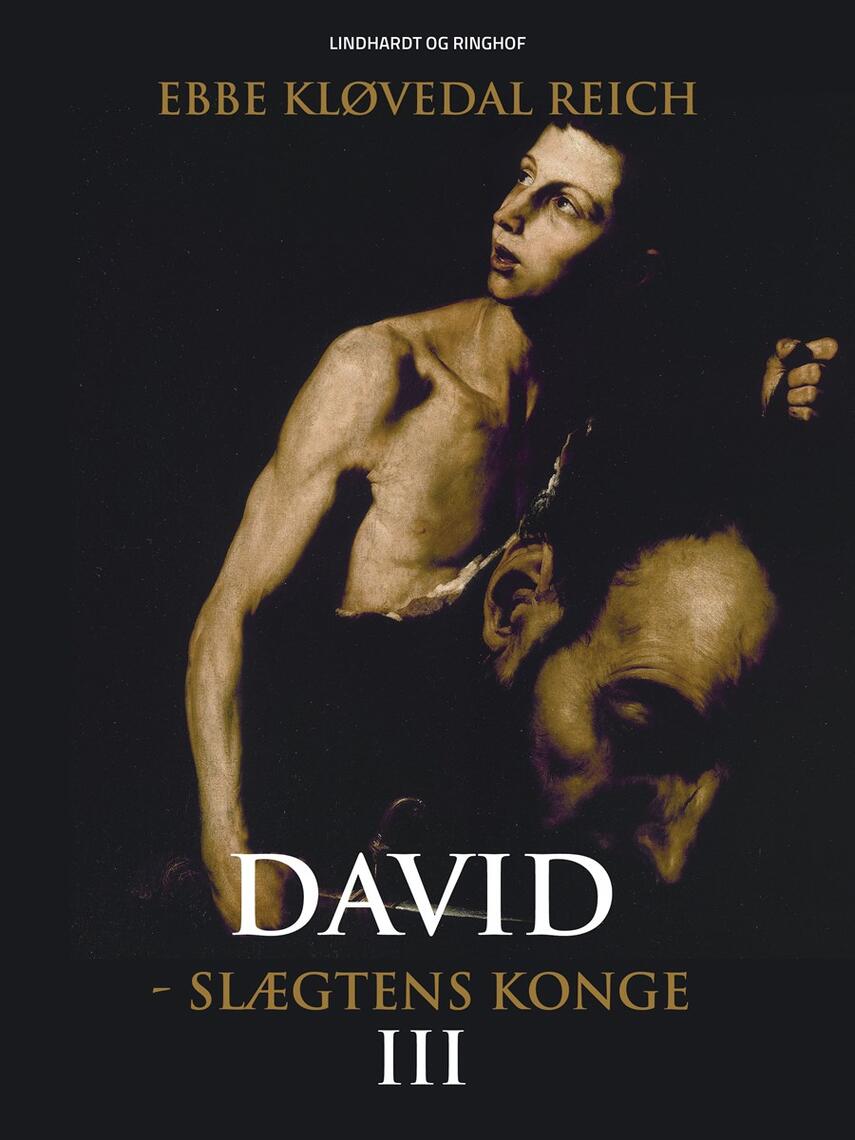 : David - slægtens konge (David nr. 3)