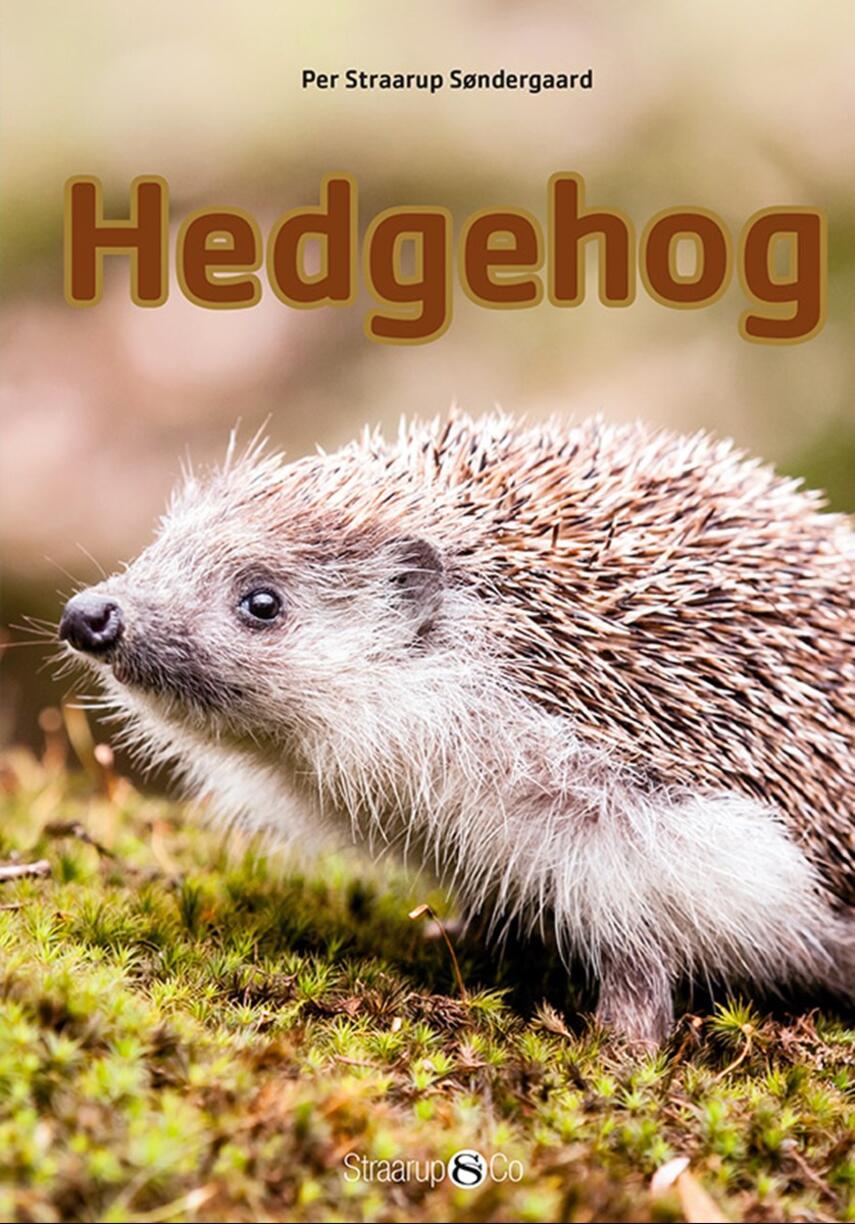 Per Straarup Søndergaard: Hedgehog