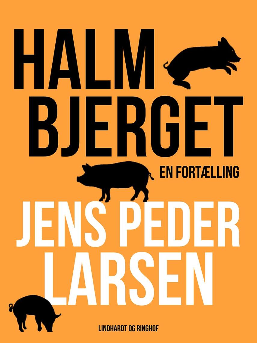 Jens Peder Larsen (f. 1952): Halmbjerget : en fortælling