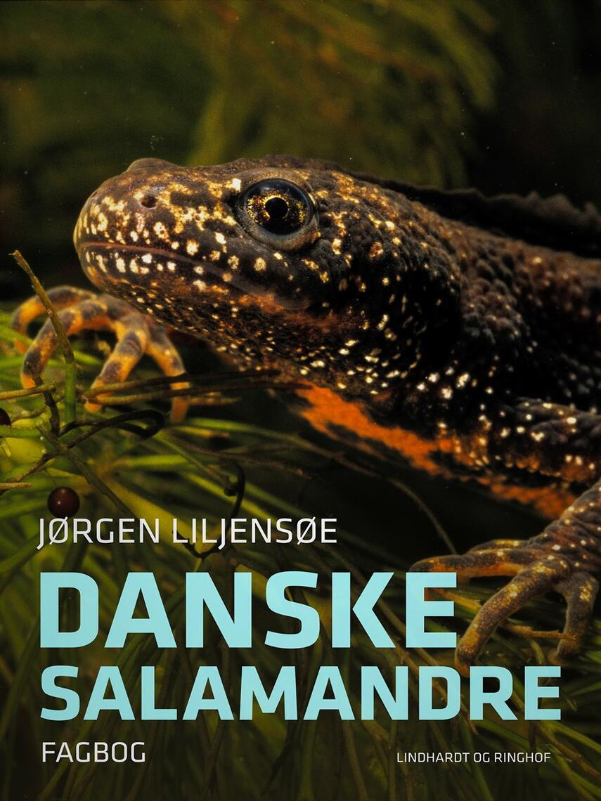 Jørgen Liljensøe: Danske salamandre