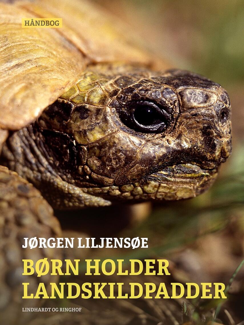 Jørgen Liljensøe: Børn holder landskildpadder