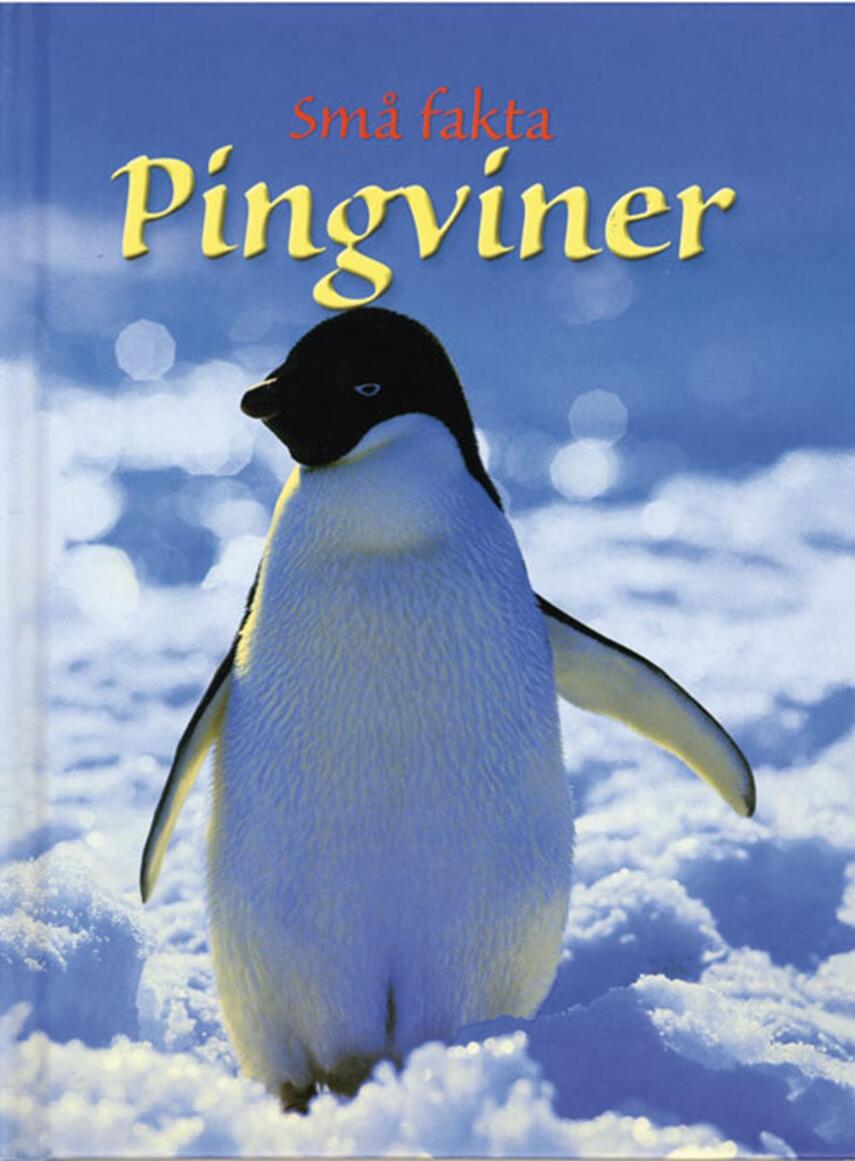 Emily Bone: Pingviner