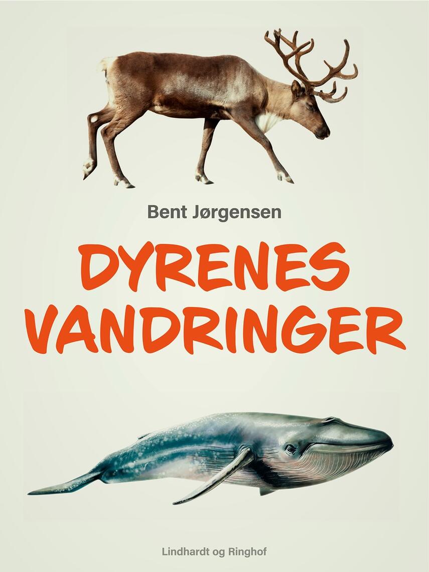 Bent Jørgensen (f. 1933-09-19): Dyrenes vandringer
