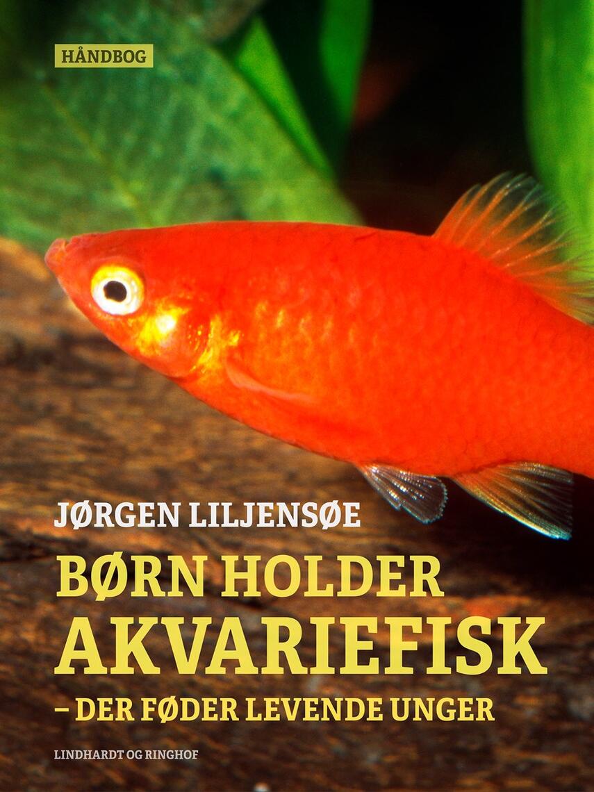 Jørgen Liljensøe: Børn holder akvariefisk