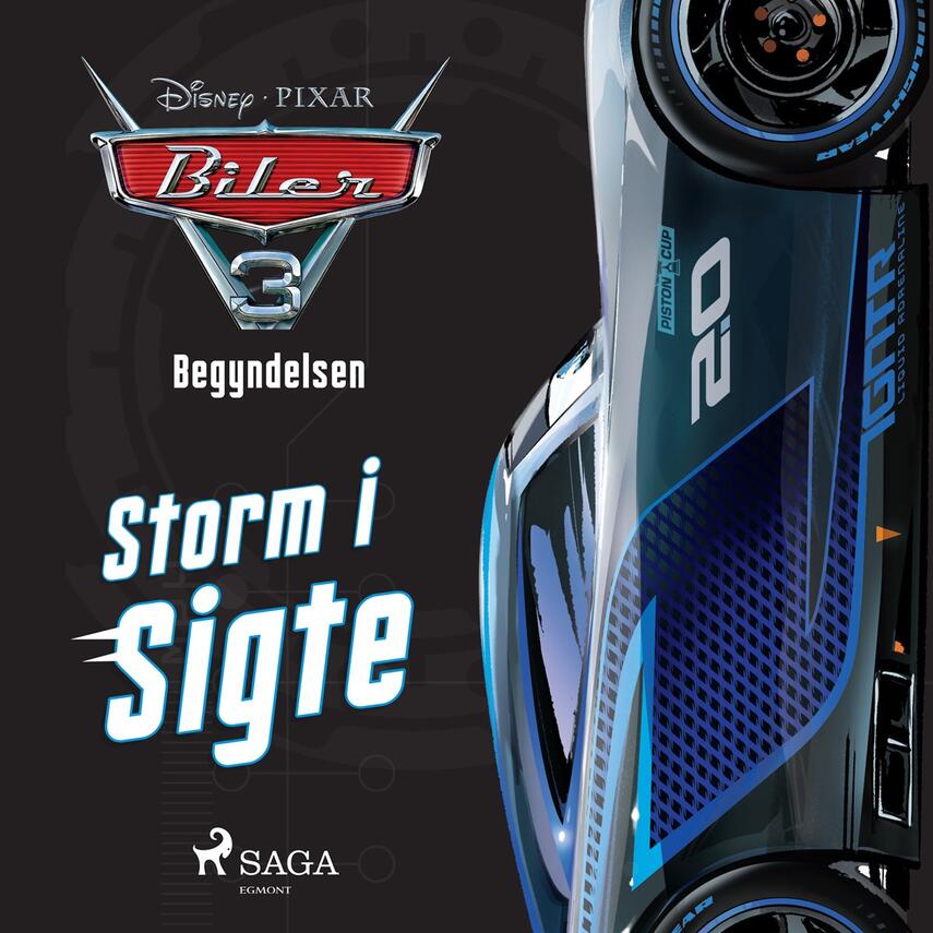 : Storm i sigte