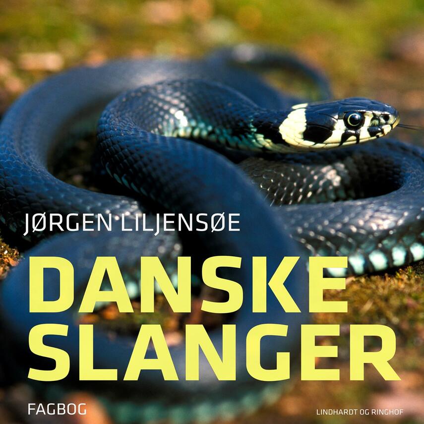 Jørgen Liljensøe: Danske slanger