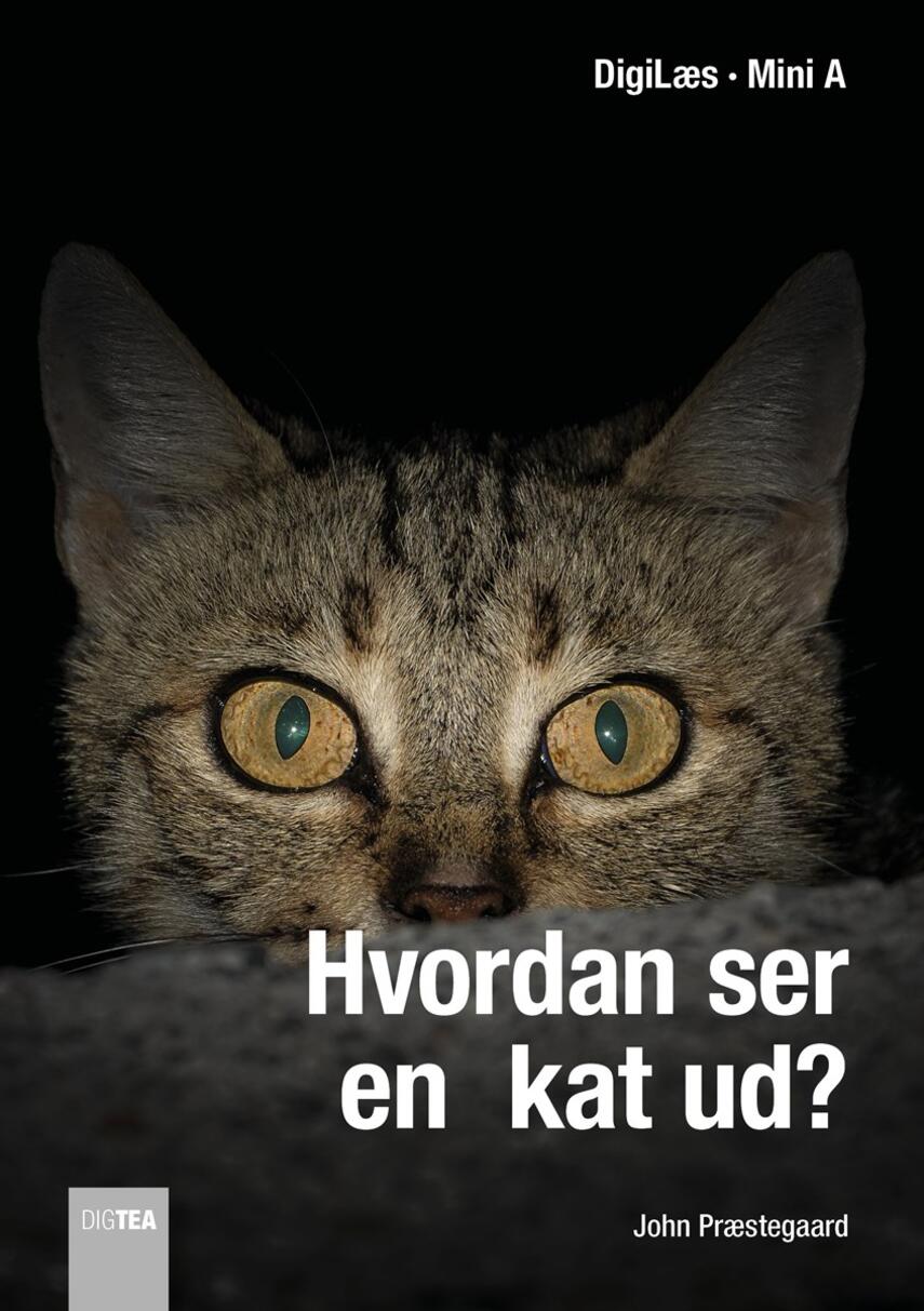 John Nielsen Præstegaard: Hvordan ser en kat ud?