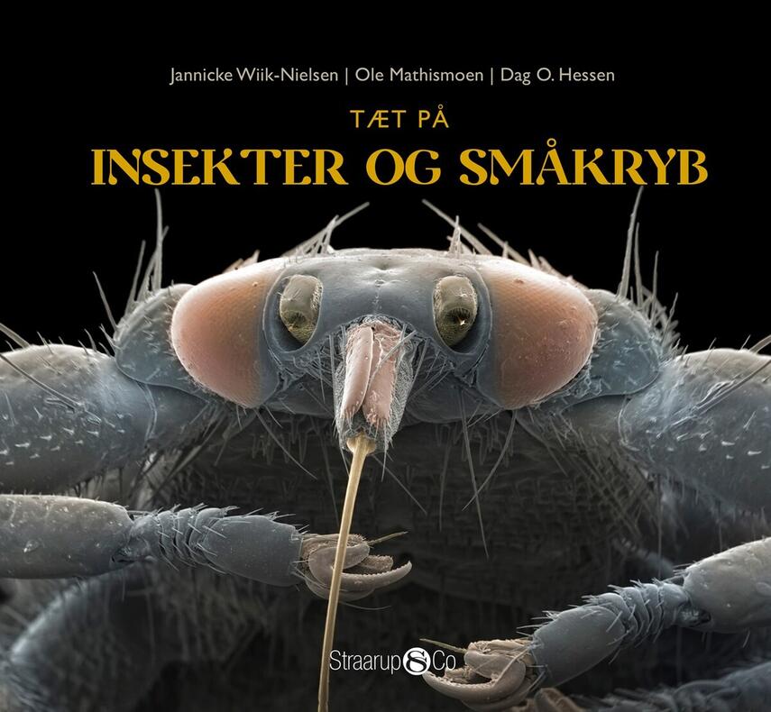 Dag O. Hessen, Ole Mathismoen, Jannicke Wiik-Nielsen: Tæt på insekter og småkryb