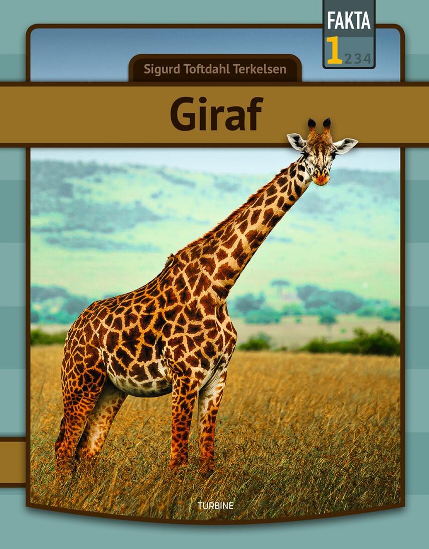 Sigurd Toftdahl Terkelsen: Giraf
