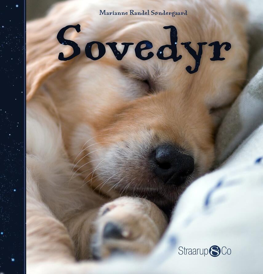 Marianne Randel Søndergaard: Sovedyr