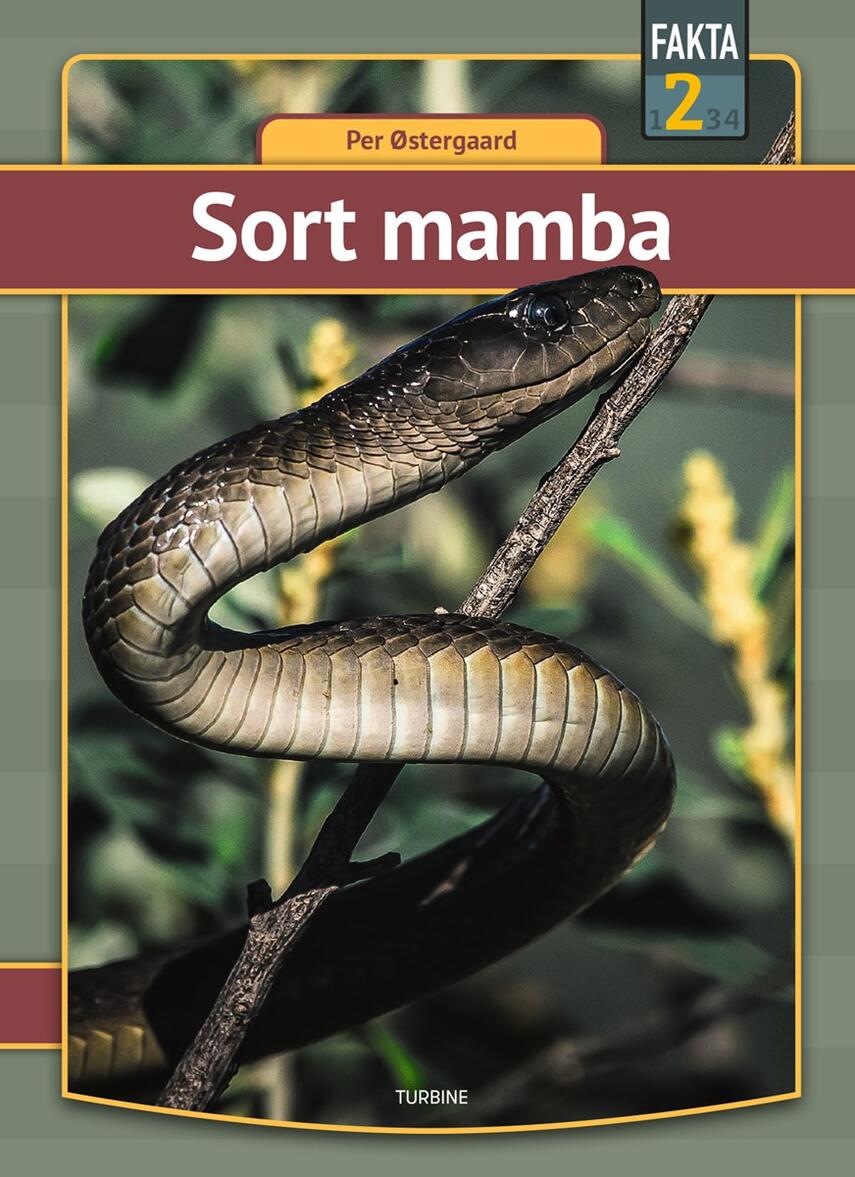 Per Østergaard (f. 1950): Sort mamba