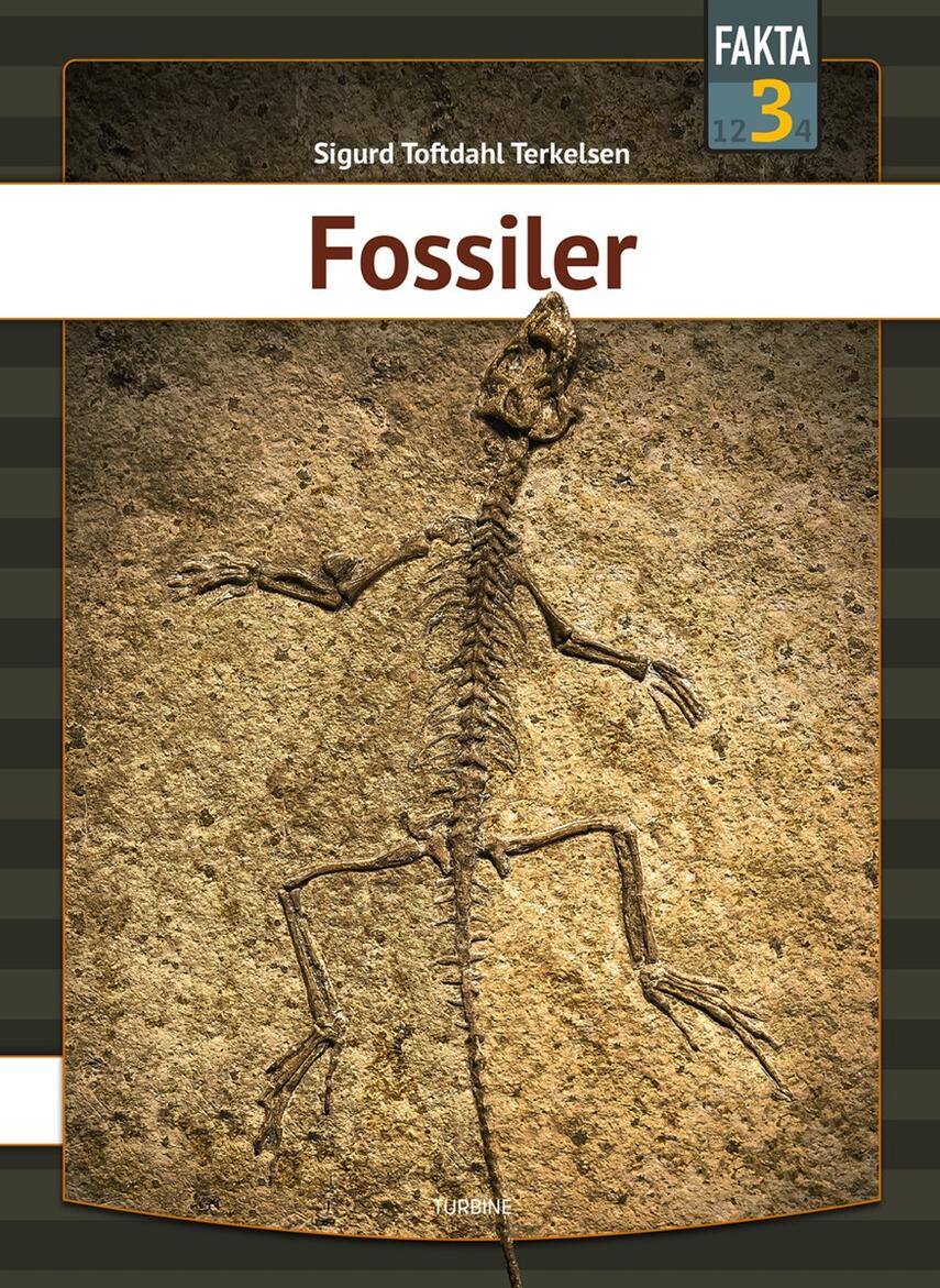 Sigurd Toftdahl Terkelsen: Fossiler