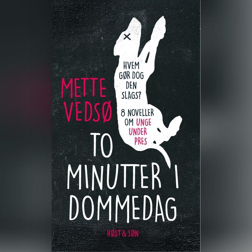 Mette Vedsø: To minutter i dommedag : noveller om at være under pres