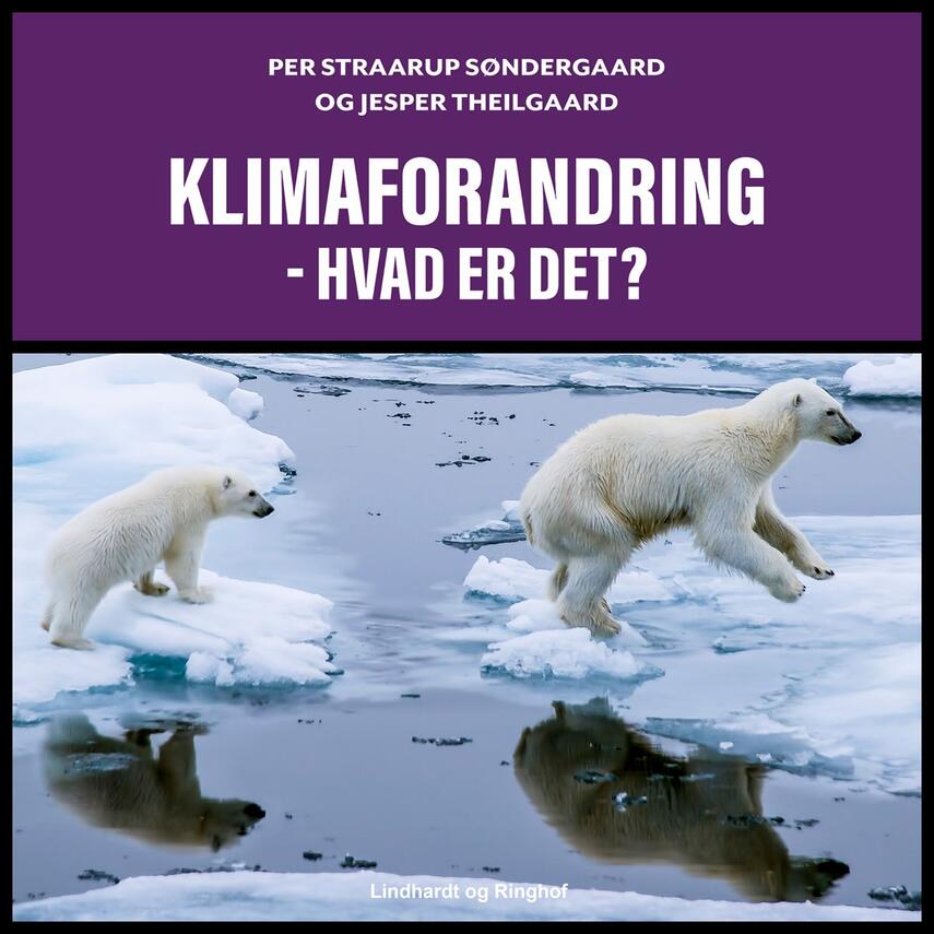 Jesper Theilgaard, Per Straarup Søndergaard: Klimaforandring - hvad er det?