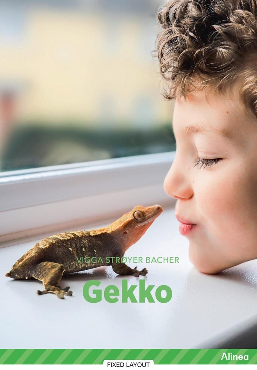 Vigga Strøyer Bacher: Gekko